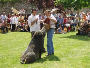 fiesta de la trufa