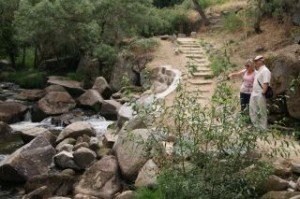 imagenes_2014-07-23_fin_limpieza_margenes_rio_Eresma_204433b6