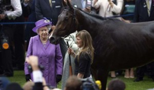 Alfalfa para la Casa Real britanica