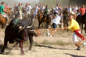 toro-de-la-vega