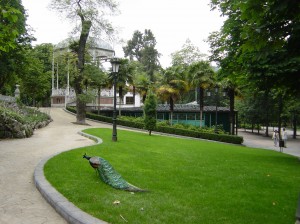 PARQUE_SAN_FRANCISCO_PAVO_REAL2