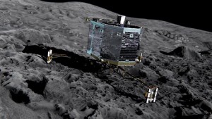 rosetta