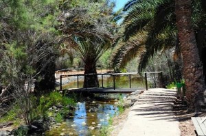 Parque Toni Gallardo3