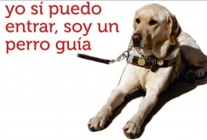 perro guia