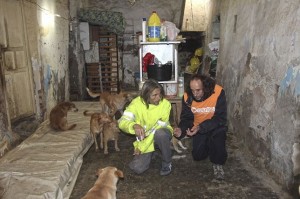 el refugio