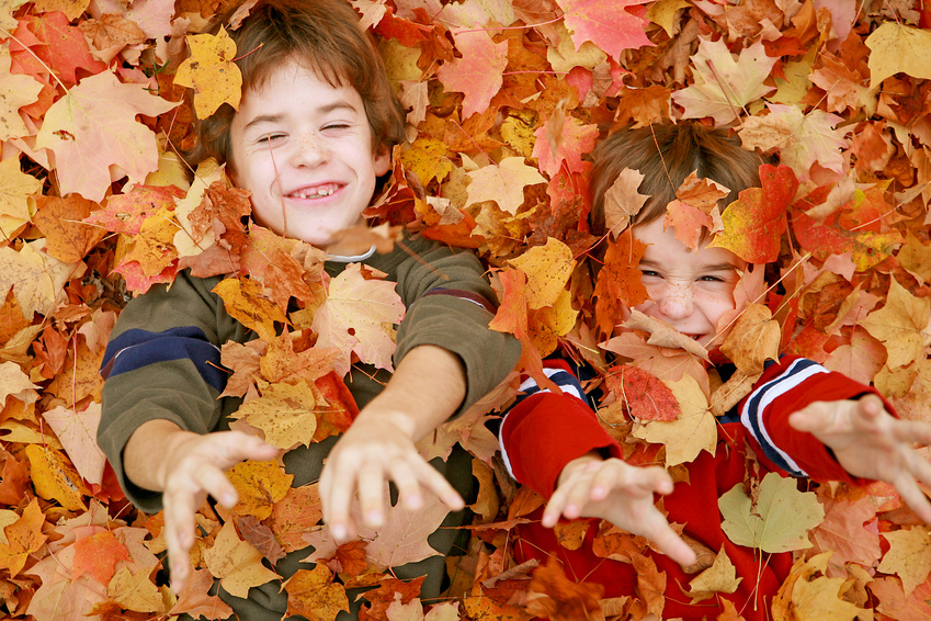 Gagnante au concours image du net l'Automne Ninos-otono-main