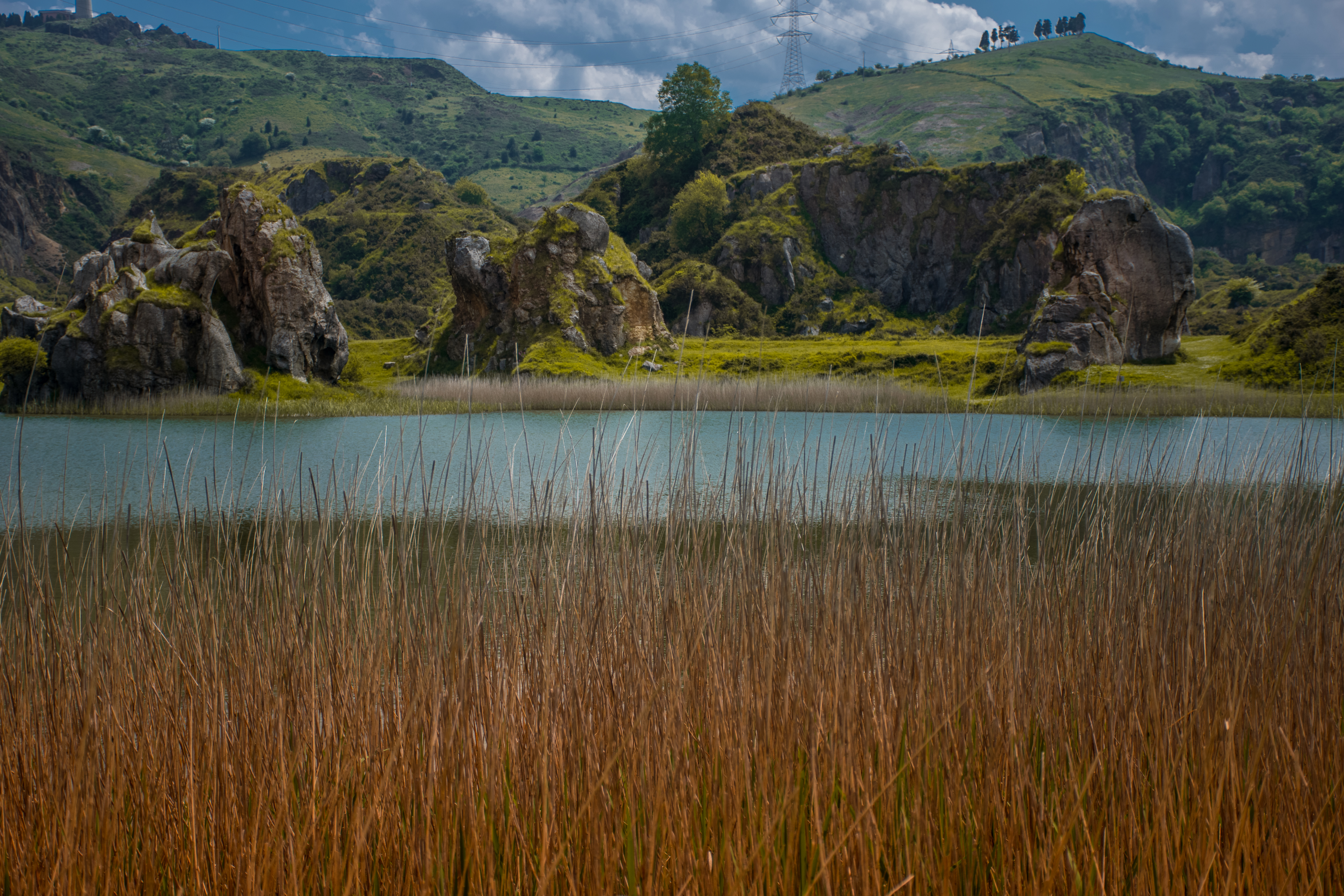 _DSC0046