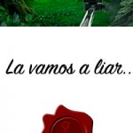 lavamosaliar