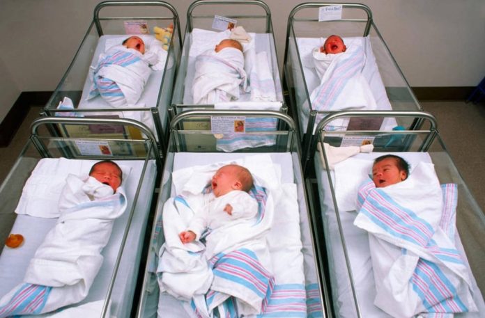 nacimientos_899c80d0