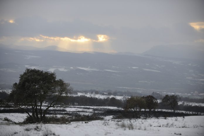 Nieve
