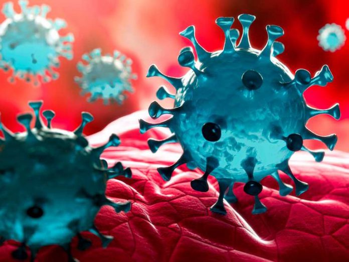 la-vida-del-coronavirus-3-h-en-el-aire-2-3-dias-sobre-superficies-240661-1_768-1