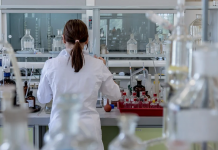 Eusko Jaurlaritzak 21 milioi eurotik gora bideratuko ditu doktorego aurreko eta ondoko ikertzaileen talentua sustatzera
