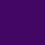 Banner_robapaginas_300x250_CAST