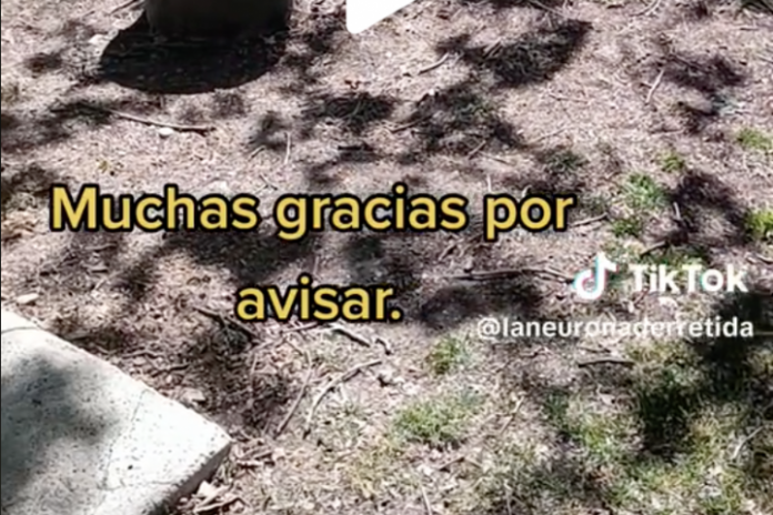 imagen-de-un-parque-de-madrid-1