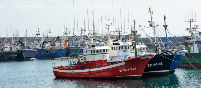 pesca-pesquero-696x307-1