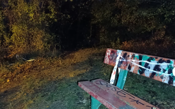 FireShot-Capture-349-El-Ayuntamiento-de-Pamplona-Bildu-ignoro-informes-policiales-sobr_-wwwelespanolcom_