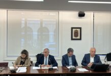 Lurralde Antolamendurako Batzordeak ontzat eman du Iruñeko NUPeko UGPSa berriz mugatzeari, unibertsitate eremua biziberritzeko, etxebizitzak eraikitzeko eta espazio berdeak sortzeko lehen urratsa