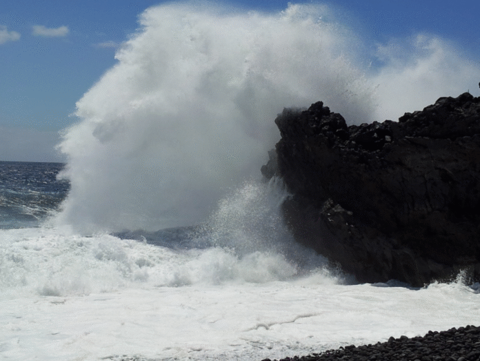 Captura-de-pantalla-2023-04-13-a-las-81607-1024x769-1