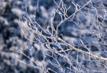 Euskadi activará mañana un aviso amarillo por nieve en el interior