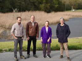 La Diputación de Gipuzkoa recupera 2,5 hectáreas de marisma en Jaitzubia