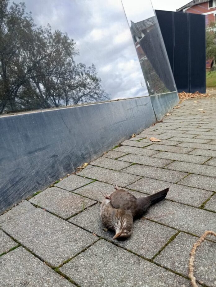 WhatsApp-Image-2025-11-05-at-153615-1-771x1024-1