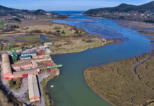 El Guggenheim rechaza definitivamente el proyecto de Urdaibai