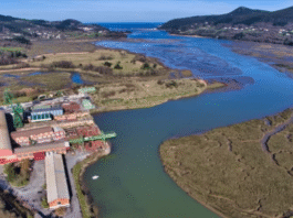 El Guggenheim rechaza definitivamente el proyecto de Urdaibai