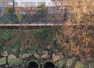 Eguzki denuncia el vertido registrado a final de año en el río Oiartzun