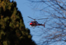 Nafarroak hirugarren helikoptero bat eta langile gehiago izango ditu neguko eta udaberriko baso-kanpainarako