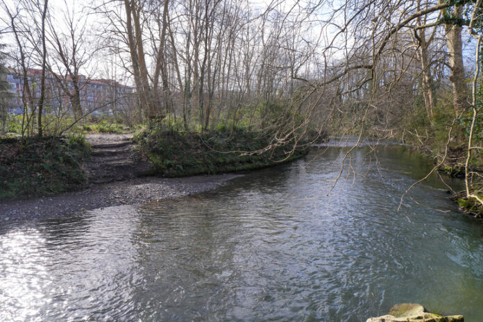 n770_FANDERIA-MURO_KRAINER_1