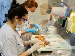 Euskadi lucha contra las enfermedades raras con 250 proyectos de investigación activos