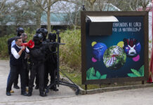 Foruzaingoak lau larrialdi-egoeraren simulazioa egin du Sendavivako parkean