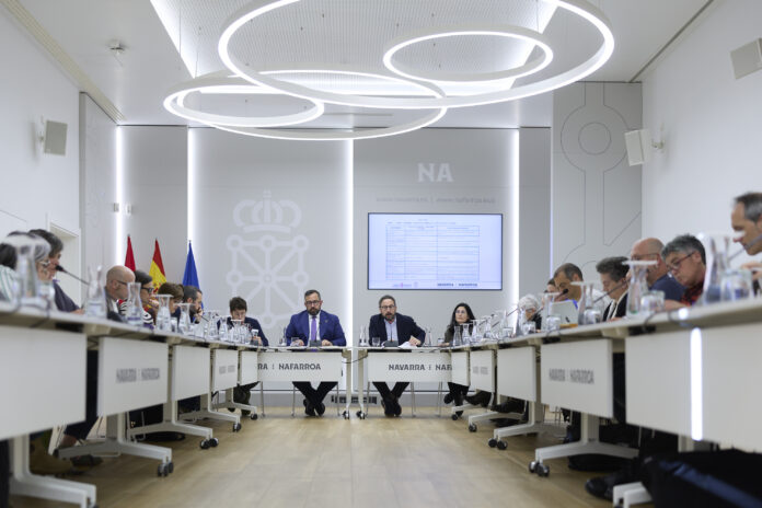 Remírez presenta el Consejo de Participación Ciudadana.
