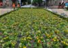 El Ayuntamiento de Bilbao apuesta por la sostenibilidad en la renovación floral de la plaza Moyua