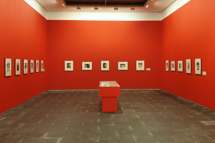 BON Museos
