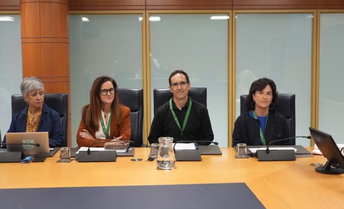 n770_Dpto_Salud_Osakidetza_Comision_Salud_Plan_Funcional_Hospital_Publico_Tolosaldea_02