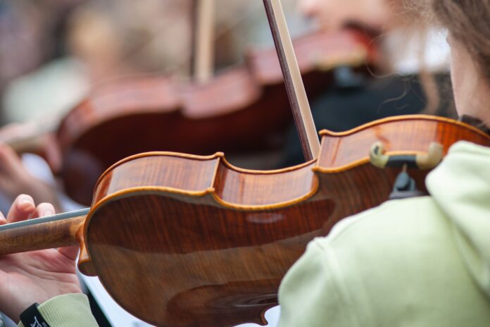 violin