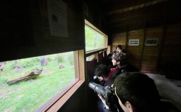 Faunaren behatoki ‘gordelekura’ hurbiltzea, Nafarroako lehen parke naturaleko publiko guztientzako proposamena