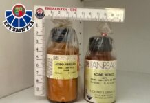 Especialistas en desactivación de explosivos retiran botes de ácido pícrico en centros escolares de Bilbao y Getxo