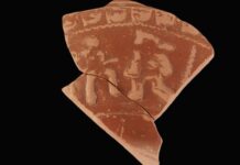 Foruan aurkitutako zeramika zati bateko gladiadore-eszena bat gehitu dio Arkeologia Museoak bere «Museoa Aztarnaz Aztarna» programari