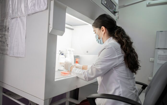 investigadora