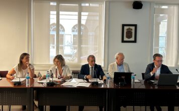 Etxabakoitzeko UGPSaren aldaketa onartzeak etxebizitza publikoetarako lurzoru gehiago garatzea, Iruñeko geltoki berria integratzea eta berdeguneak irabaztea bultzatu du