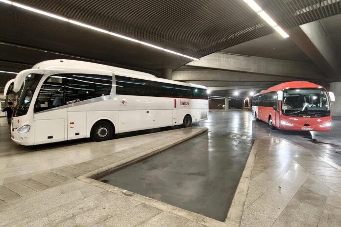 autobuses nbus (2)