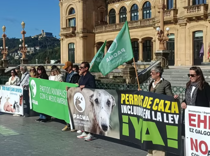 PACMA-exige-incluir-a-perros-de-caza-en-la-Ley-de-Bienestar-y-cree-que-el-Gobierno-ha-sido-terrible-para-los-animales-10-19-2026_11_08_AM