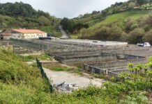 Eguzki exige la renaturalización inmediata de la cala donostiarra de Agiti tras dos décadas sin actividad en la piscifactoría